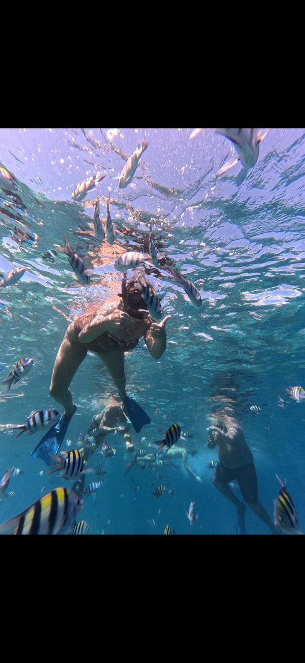 Customer snorkelling in clear blue water